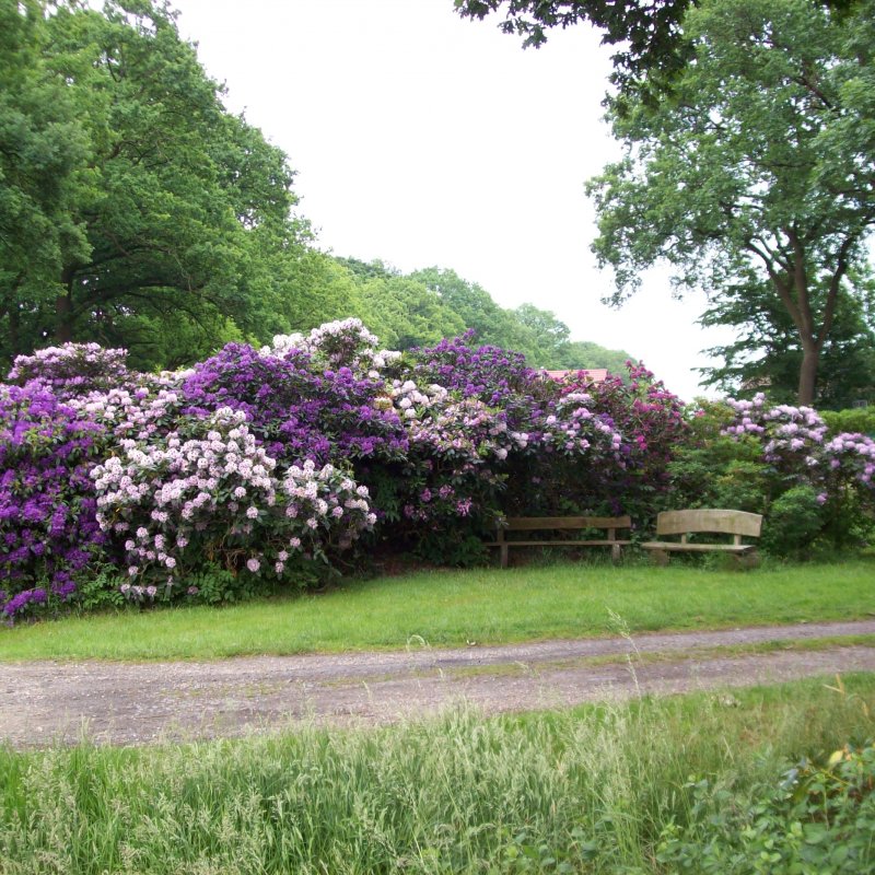 Am Lukskamp